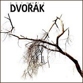 2010 dvorak